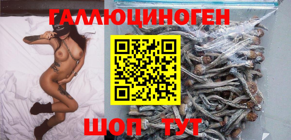 Учалы  Галлюциногенные грибы GOLDEN TEACHER  Вход с VPN 