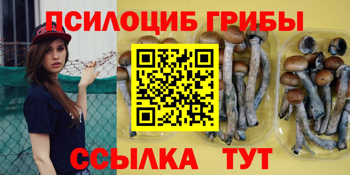 Галлюциногенные грибы Psilocybine cubensis Учалы